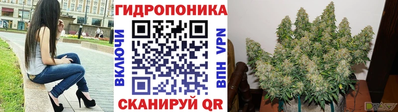 mega ССЫЛКА  Юрьев-Польский  МАРИХУАНА SATIVA & INDICA 